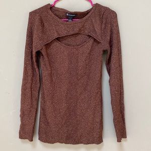 Brown and cold shimmery sweater
